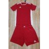 Heren T-shirt Adidas donkerrood