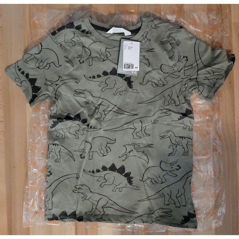 Boys T-shirt with dinosaurs