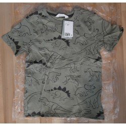 Boys T-shirt with dinosaurs