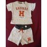 Boys set: T-shirt and Short gray Harvard