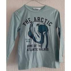 Boys sweater green THE ARCTIC
