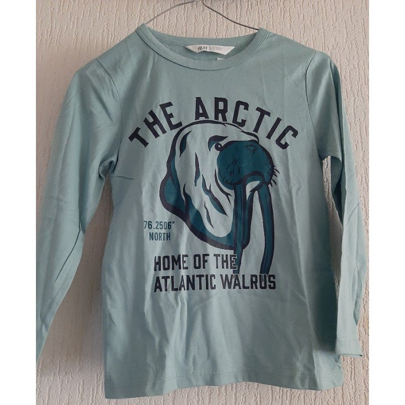 Boys sweater green THE ARCTIC