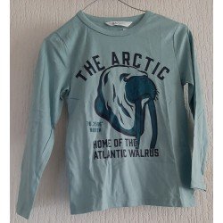Boys sweater green THE ARCTIC