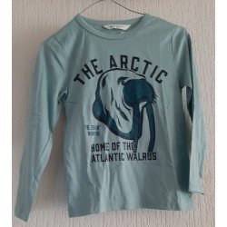 Boys sweater green THE ARCTIC