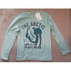 Boys sweater green THE ARCTIC