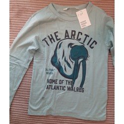 Boys sweater green THE ARCTIC
