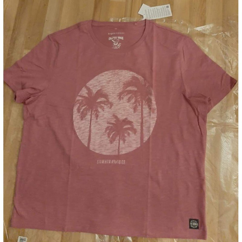 Heren T-shirt met palmbomen